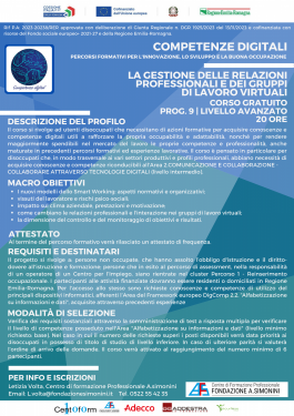 9. La gestione delle relazioni professionali e dei gruppi di lavoro virtuali